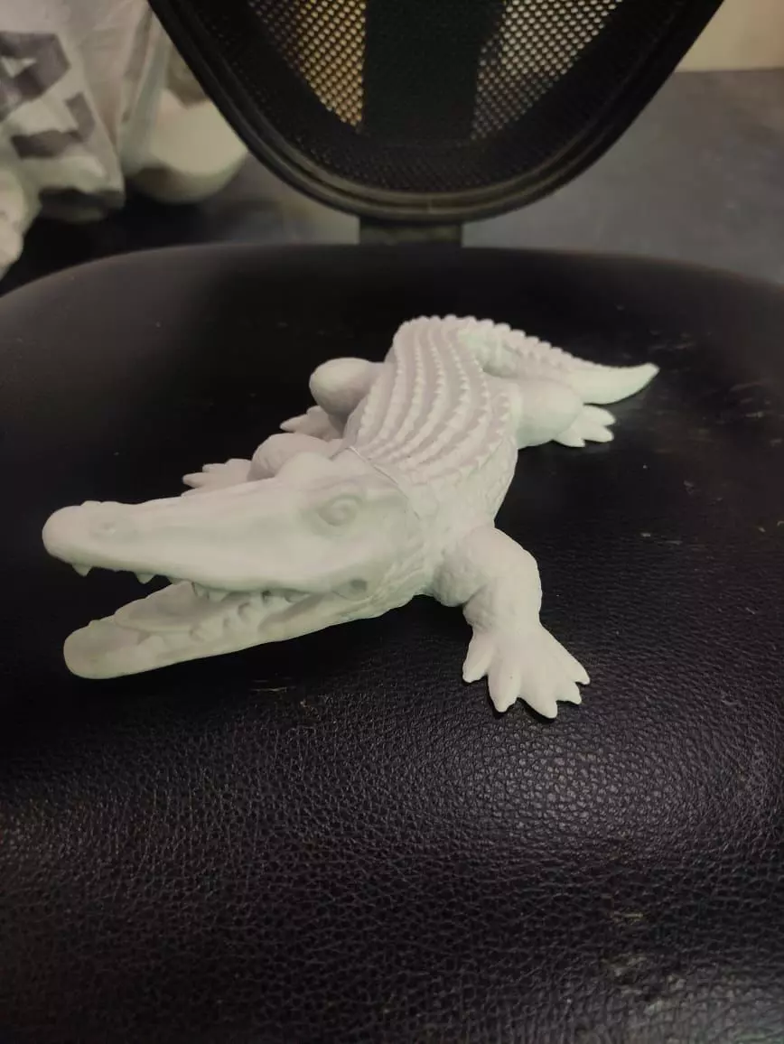Crocodile hollow 3D print model