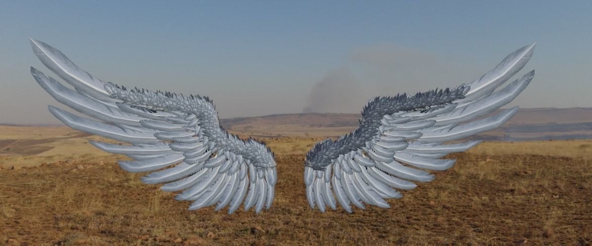 Wings angel Low-poly 3D model_4