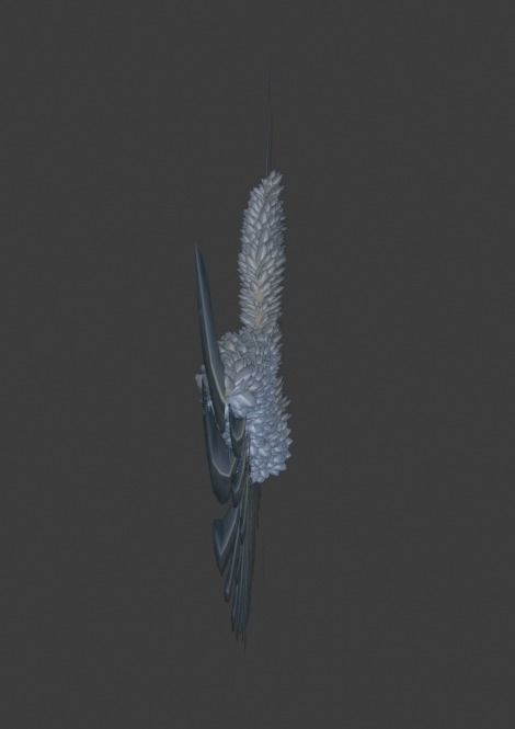 Wings angel Low-poly 3D model_11