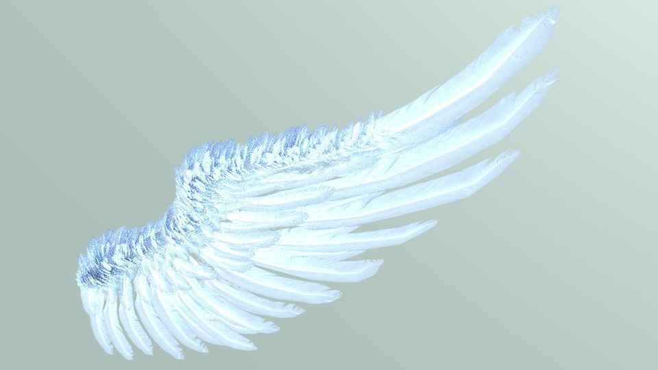 Wings angel Low-poly 3D model_10