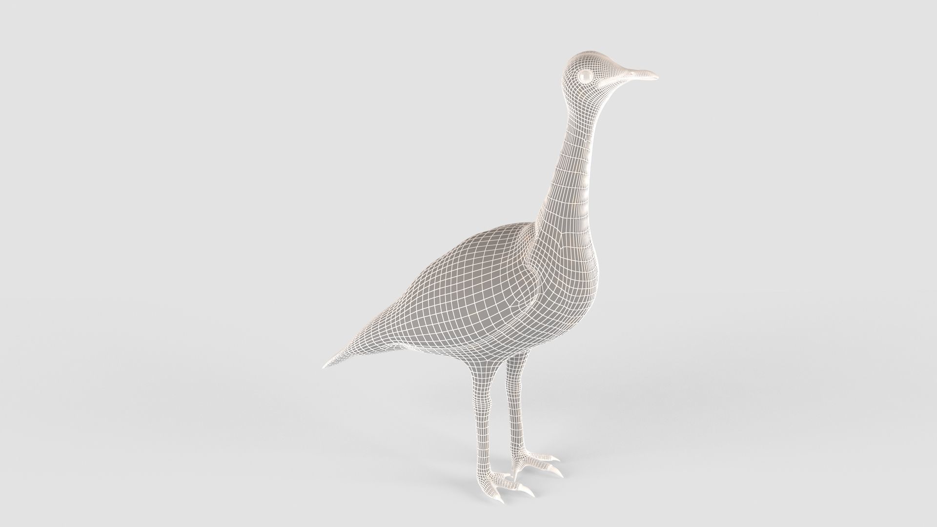 Houbara bird 3D model_11