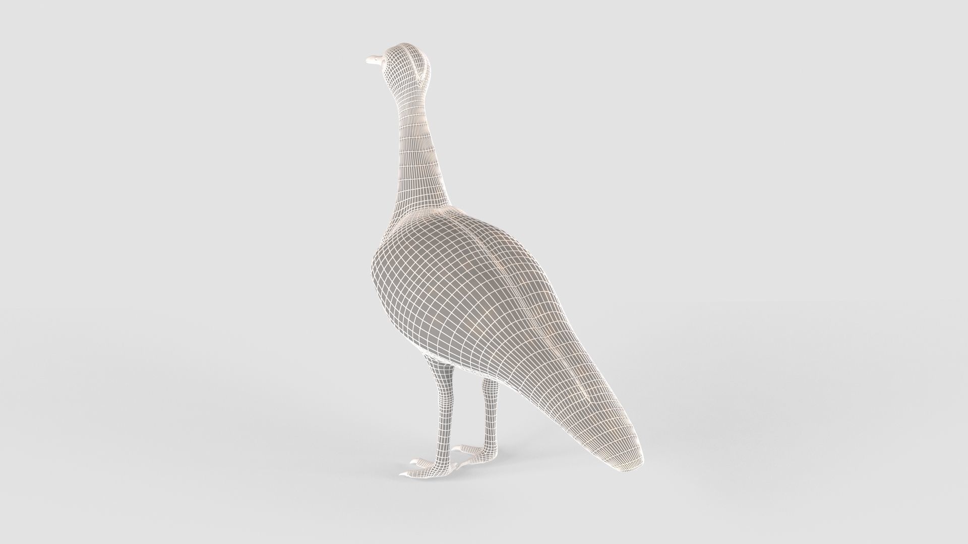 Houbara bird 3D model_14