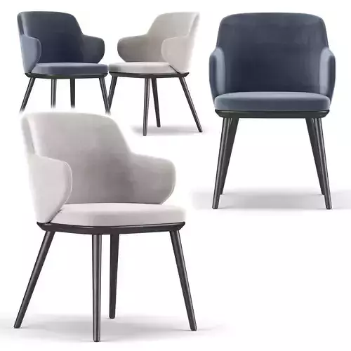 CS1889-FOYER dining chair velvet with legs