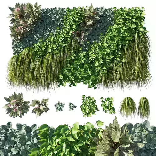 Vertical Garden  Green Wall 10