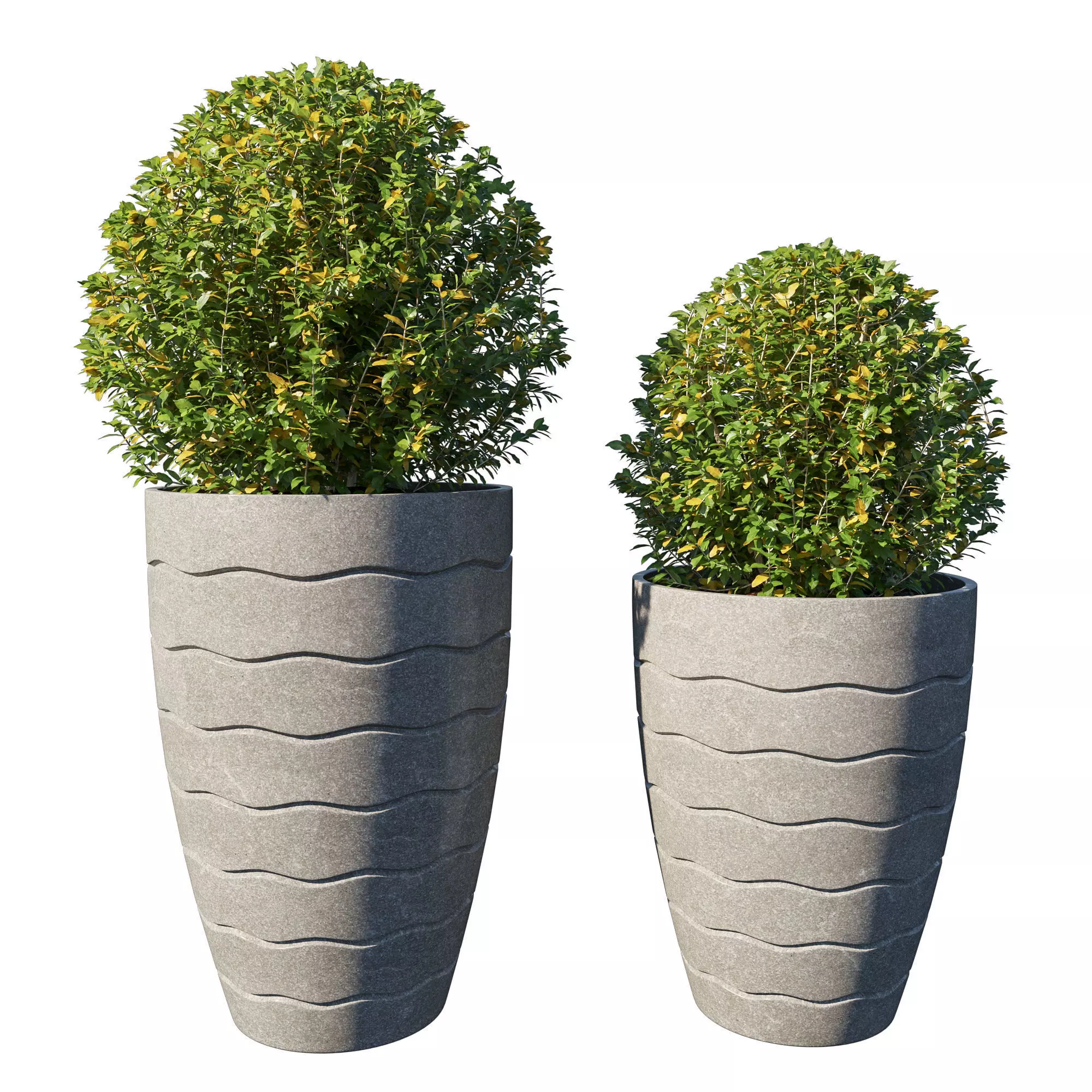Pot Plant Collection 3D model_0