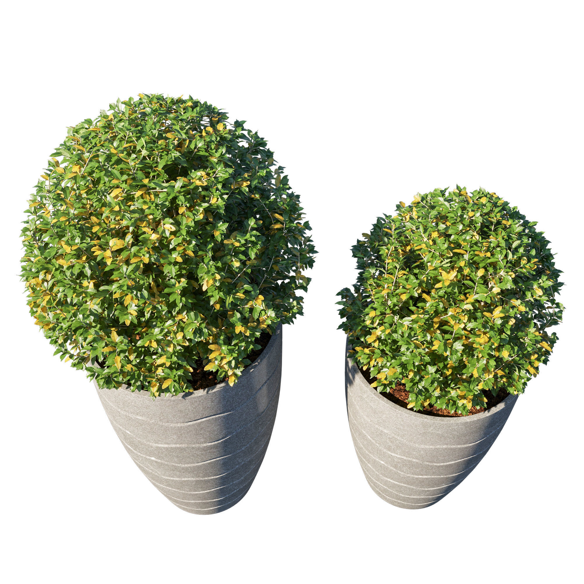 Pot Plant Collection 3D model_1