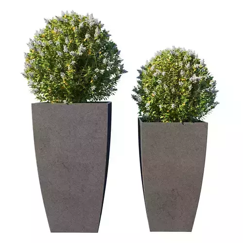 Pot Plant Collection 02 3D model