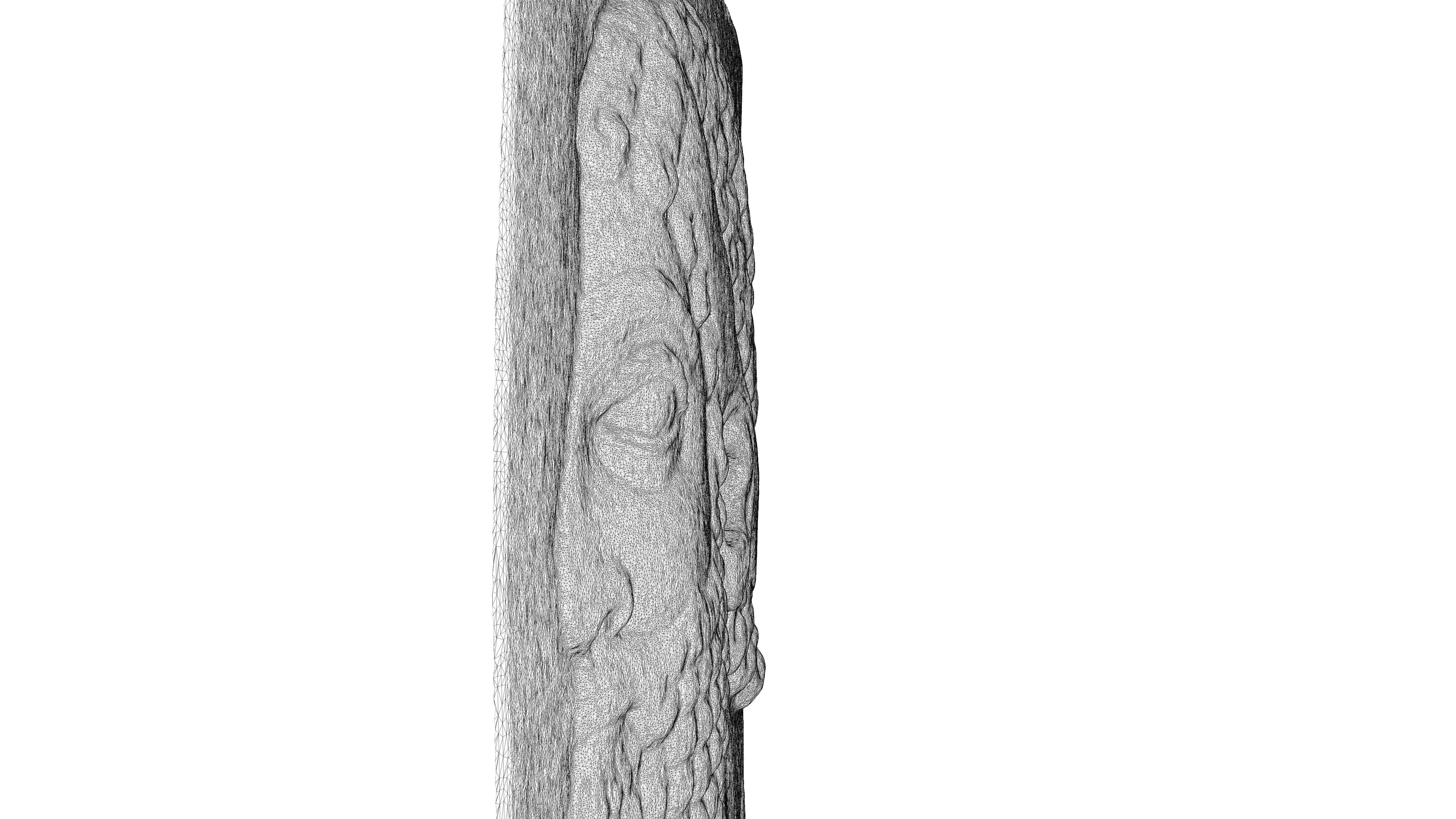 ASSYRIAN - TRIBUTAIRE MEDE II Low-poly 3D model_20