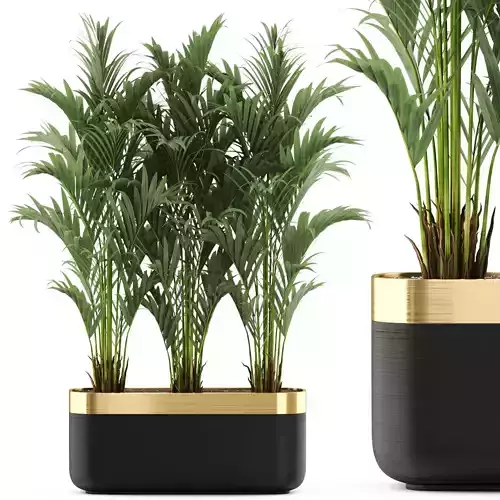 Plants collection 482 3D model