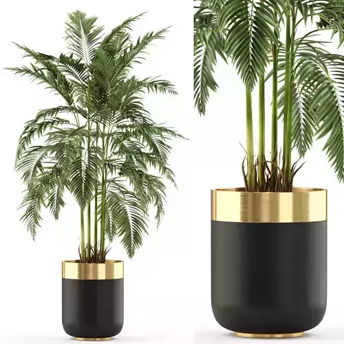 Plants collection 483 3D model