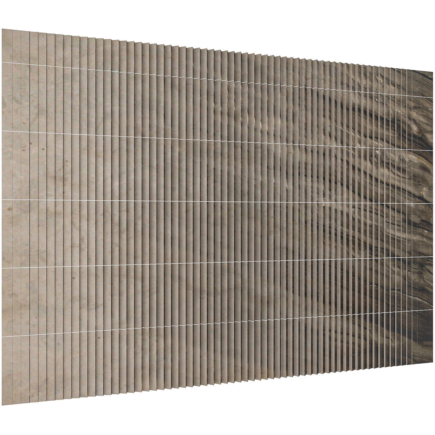 Antolini Sequoia Brown Low-poly 3D model_1