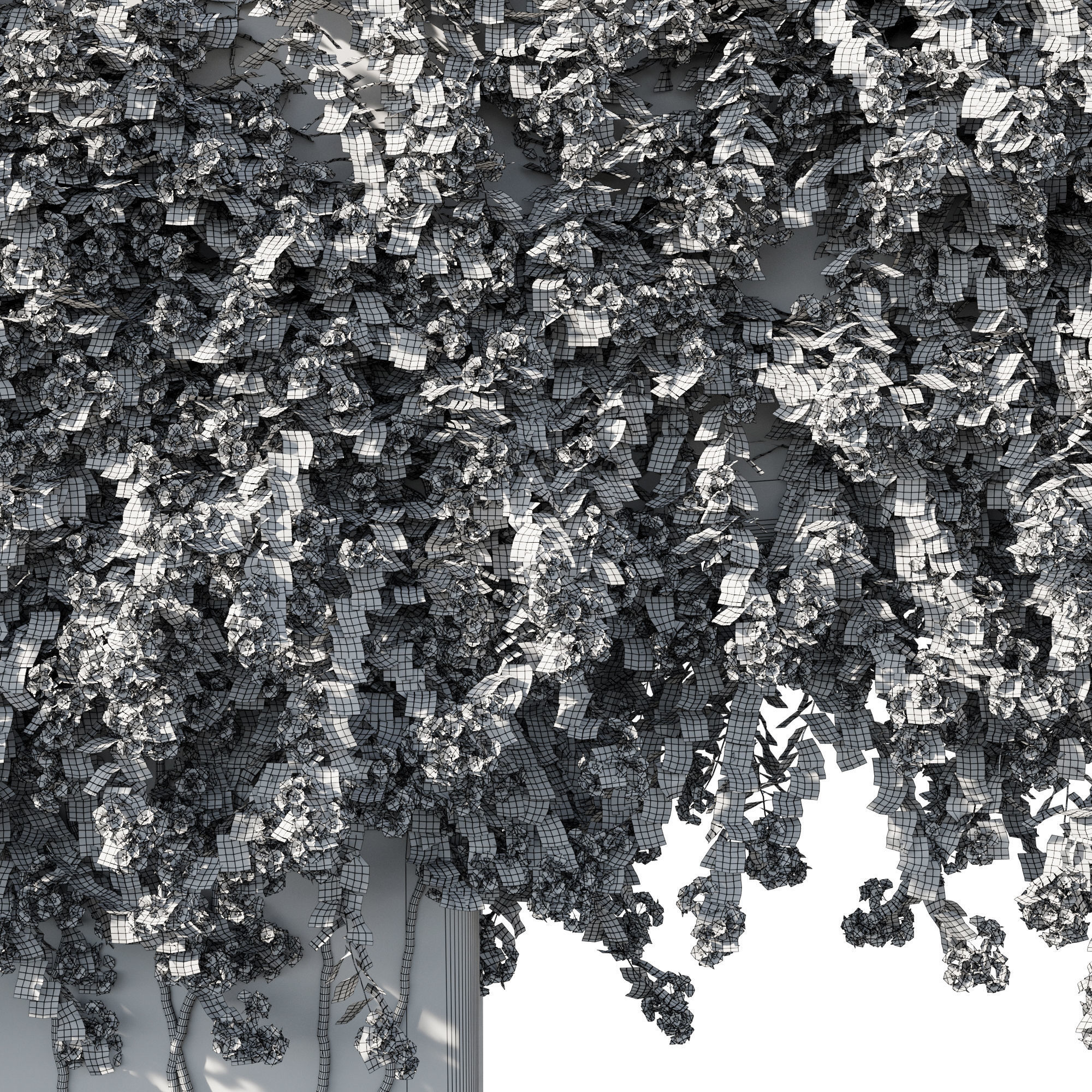 Bougainvillea 02 3D model_3