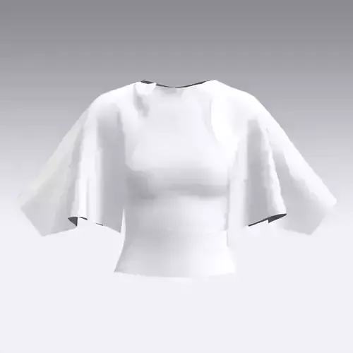 BLOUSE CLOAKED BLOUSE 3D model