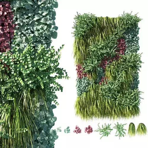 Vertical garden  Green wall 01