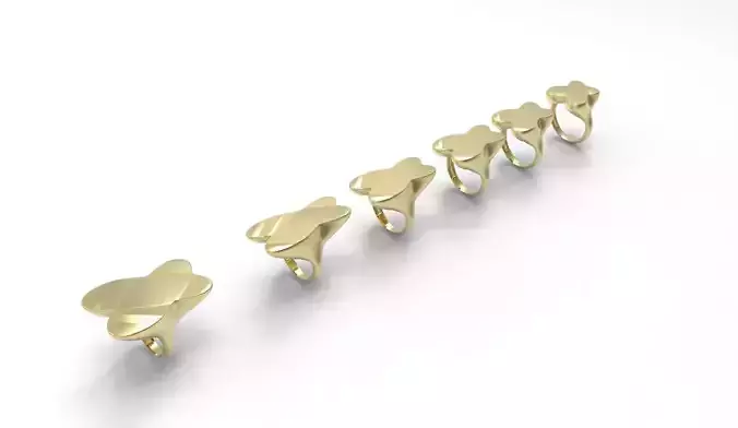 Signet Ring clover 6parts  