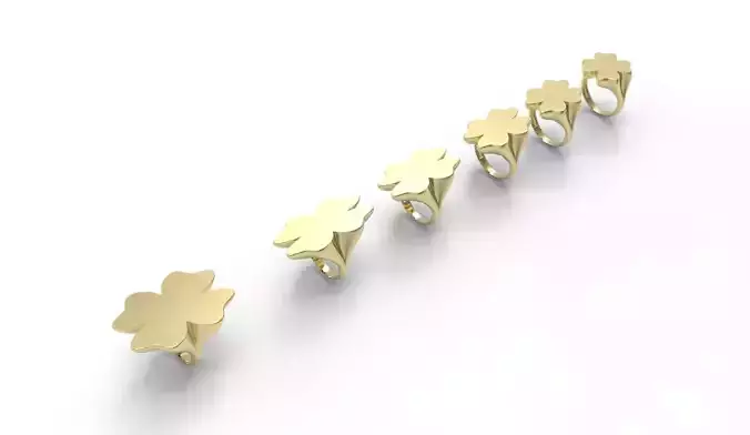 Signet Ring  butterfly 6parts  