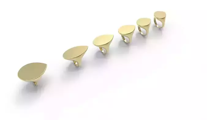 Signet Ring  drop 6parts  