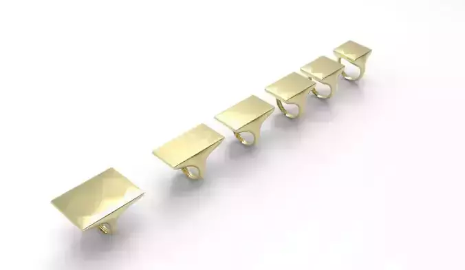 Signet Ring  rectangle 6parts  