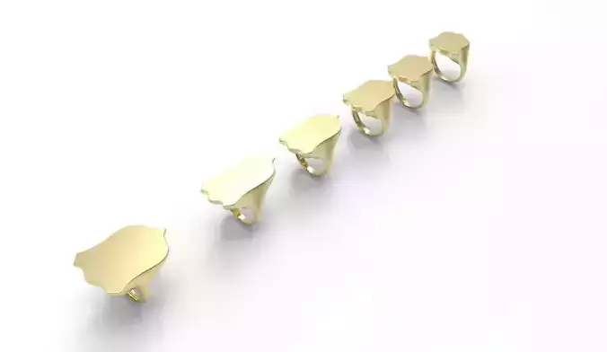 Signet Ring   soft  6parts  