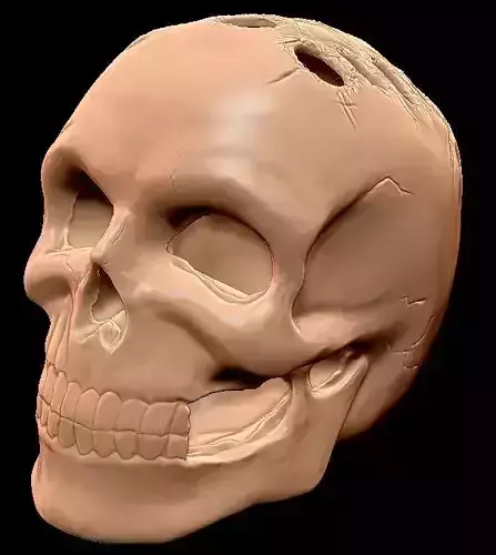 Skull with holes for pens