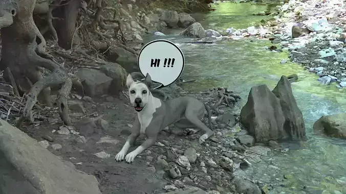 CHAT-002 Chat Bubble