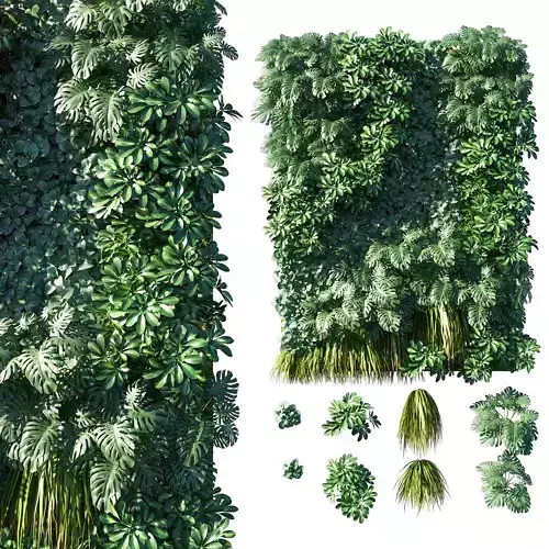 Vertical garden  Green wall 02