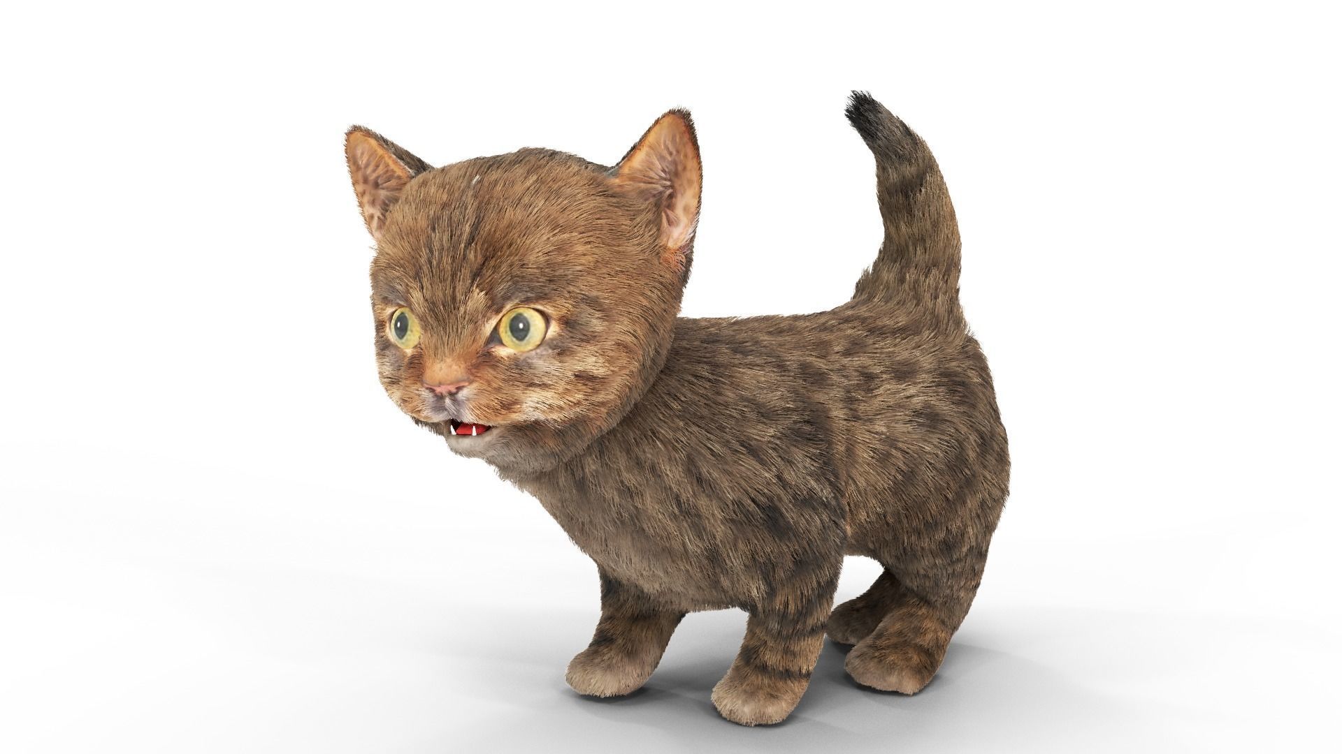 Fur Cute Cat Kitten 01 Animated Low-poly 3D model_6