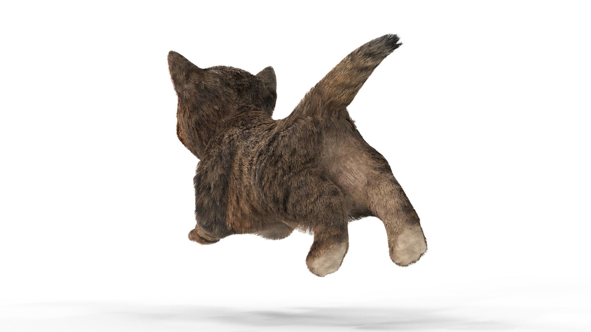 Fur Cute Cat Kitten 01 Animated Low-poly 3D model_8