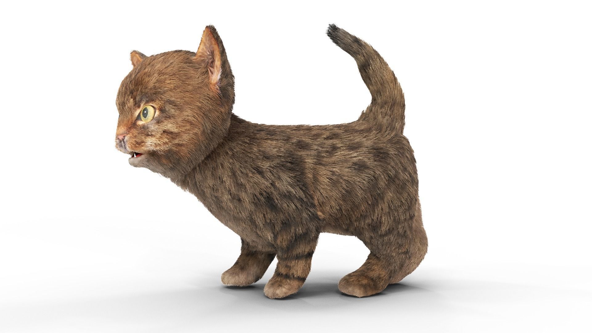 Fur Cute Cat Kitten 01 Animated Low-poly 3D model_4