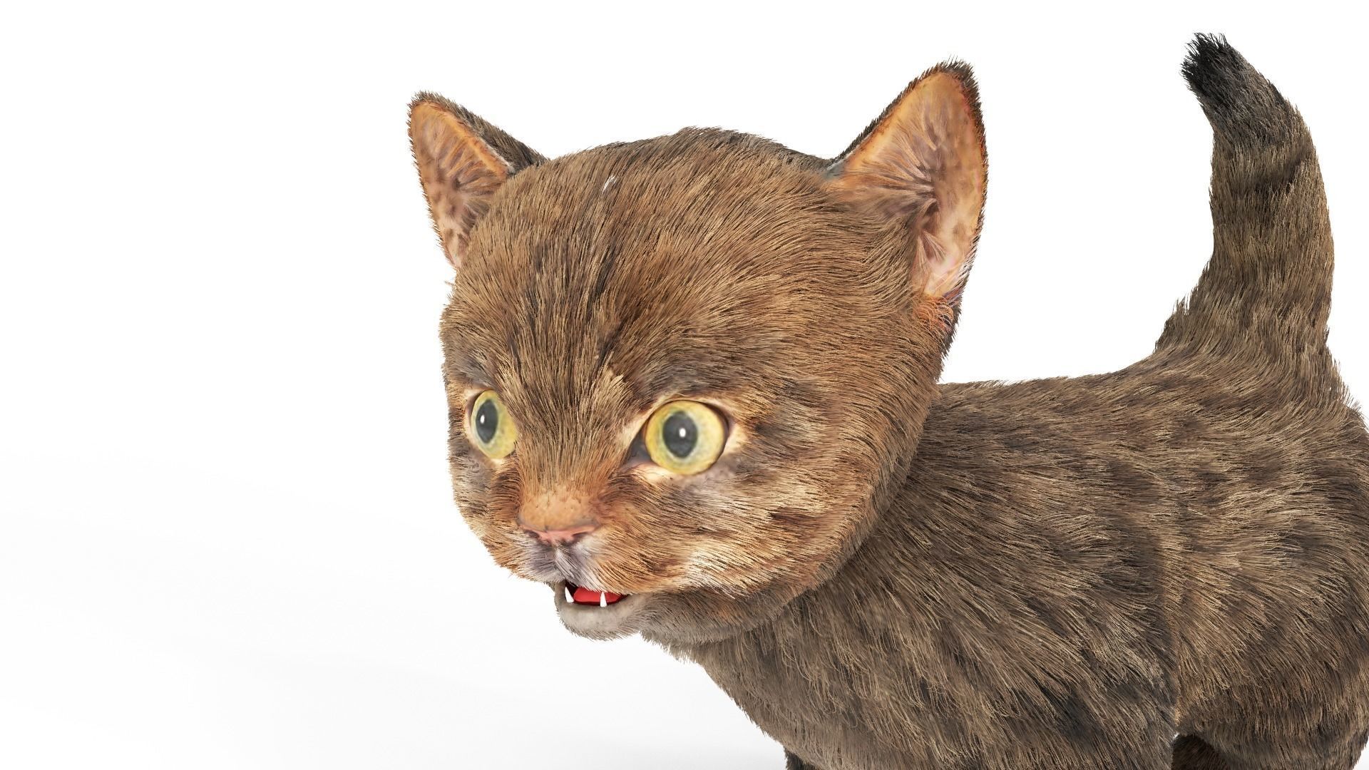 Fur Cute Cat Kitten 01 Animated Low-poly 3D model_7