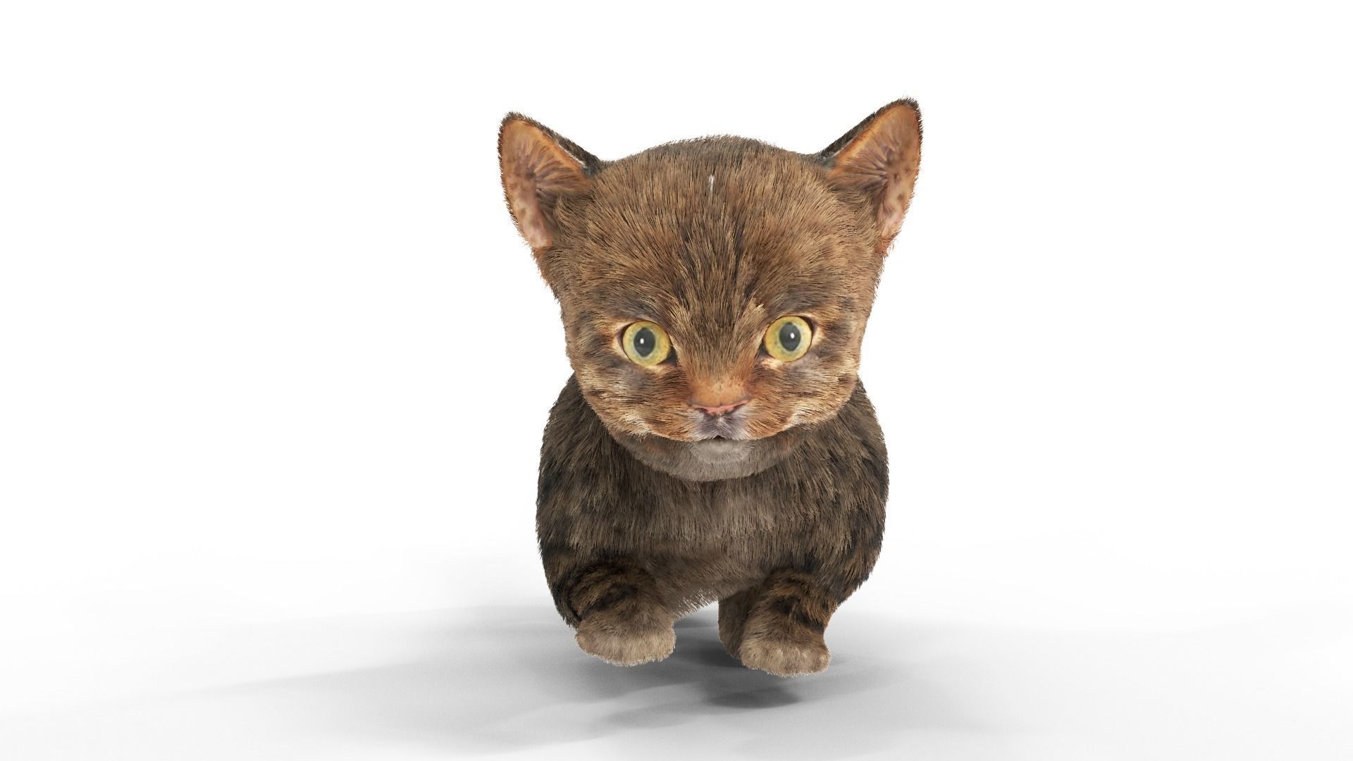 Fur Cute Cat Kitten 01 Animated Low-poly 3D model_2