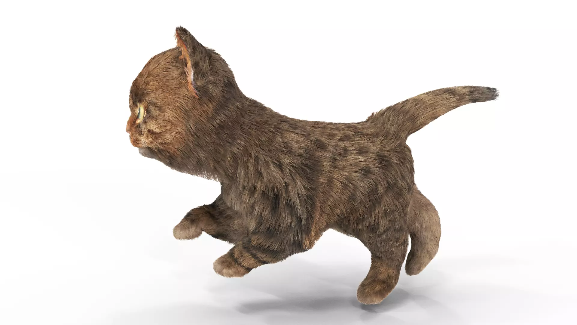 Fur Cute Cat Kitten 01 Animated Low-poly 3D model_0