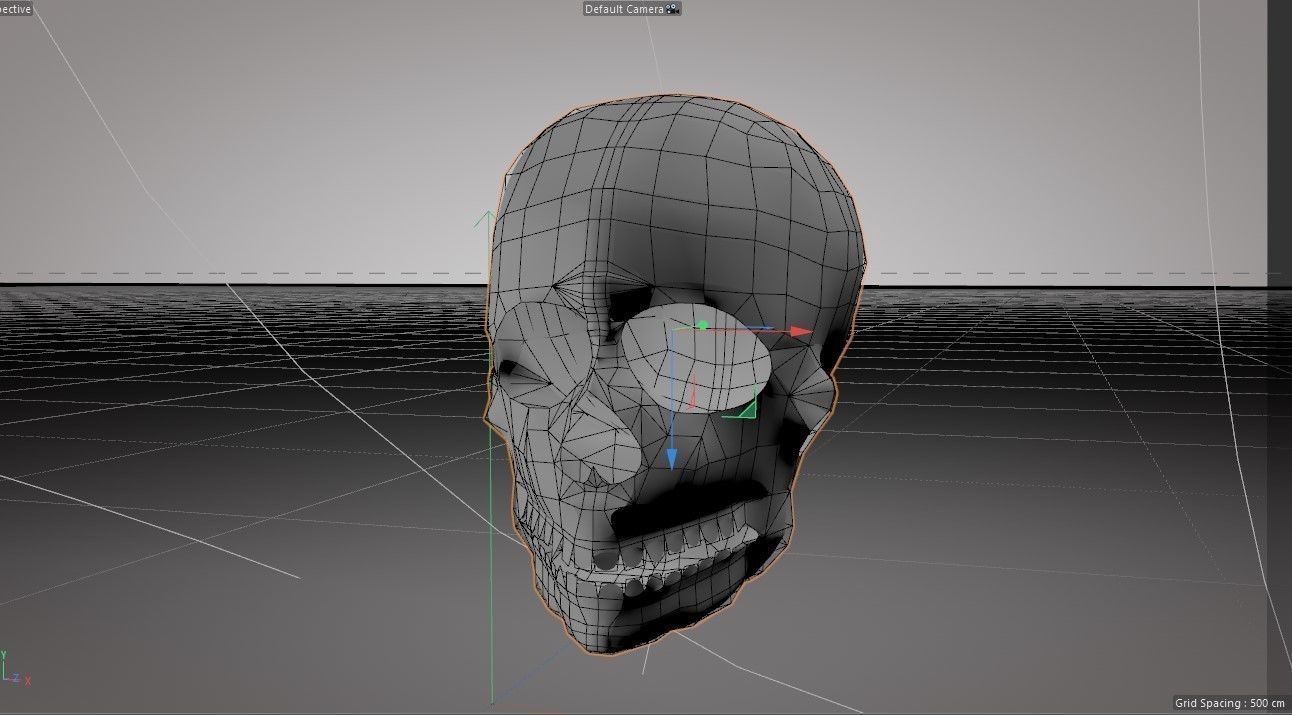 Human Low Poly SKull Free 3D model_2