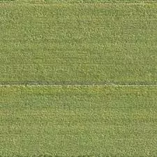 grass field with tractor in middle of it Free 3D model