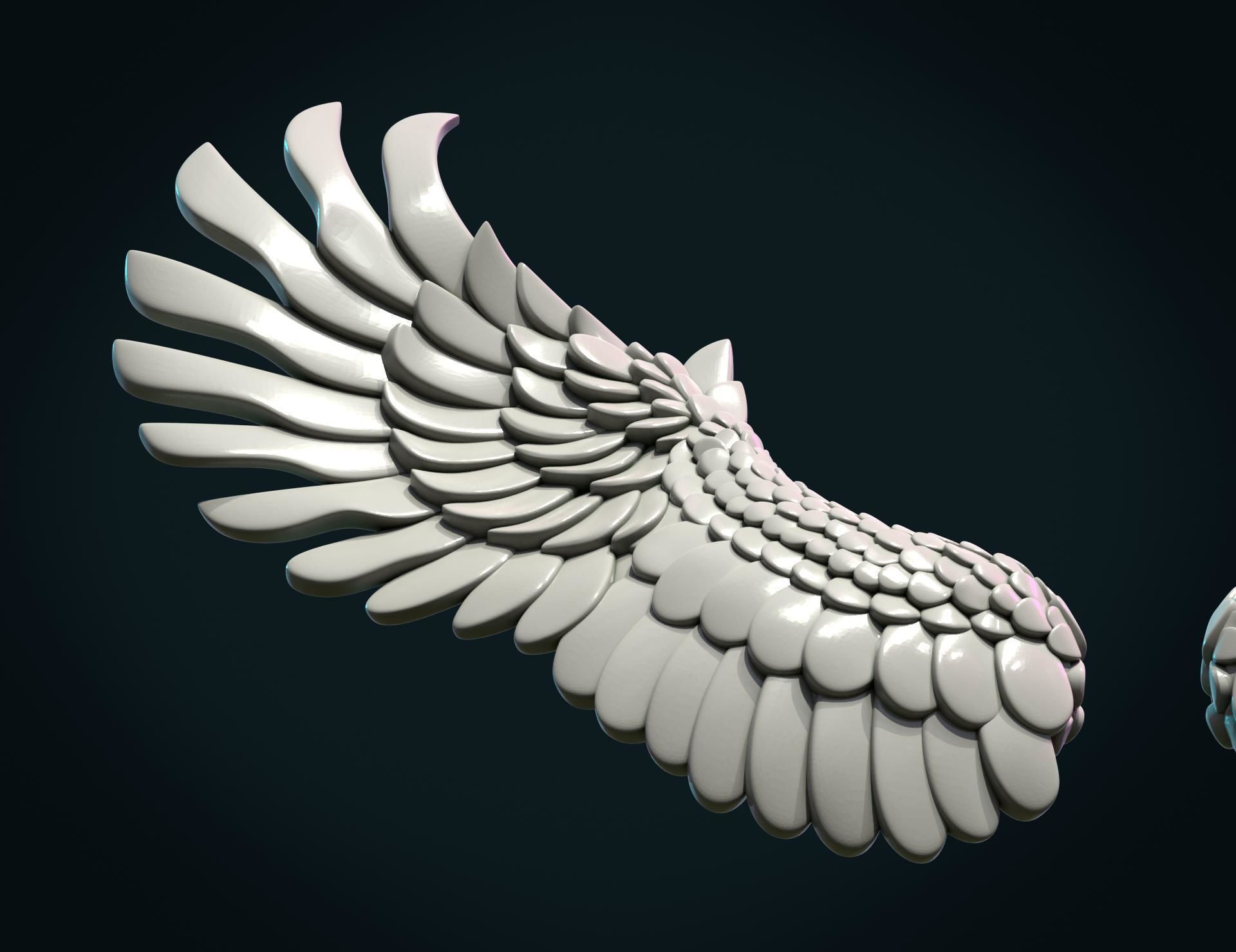 Wings II 3D print model_11