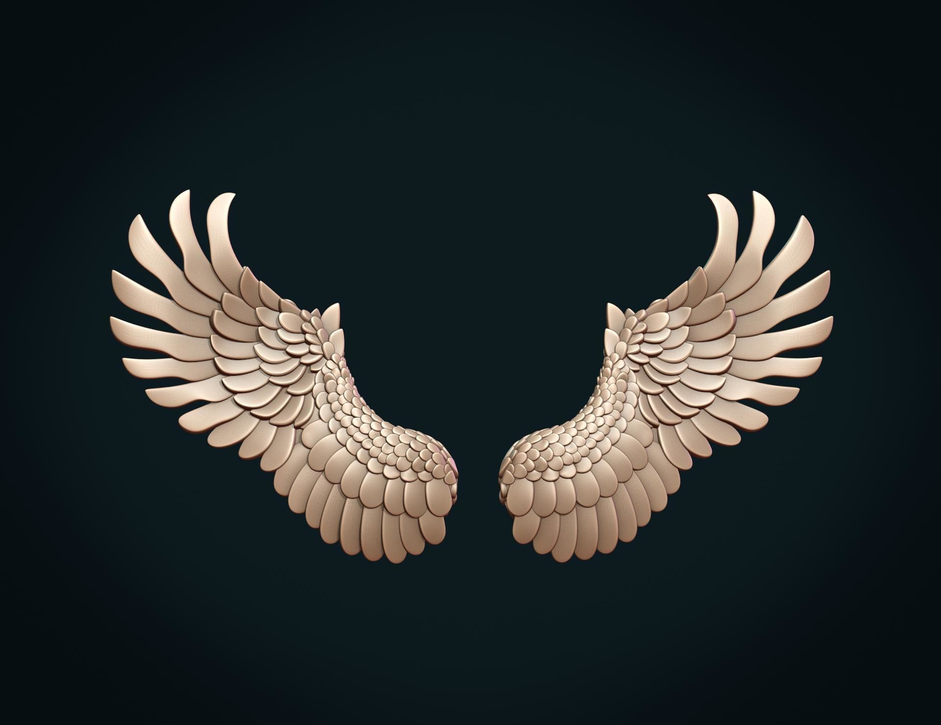 Wings II 3D print model_5