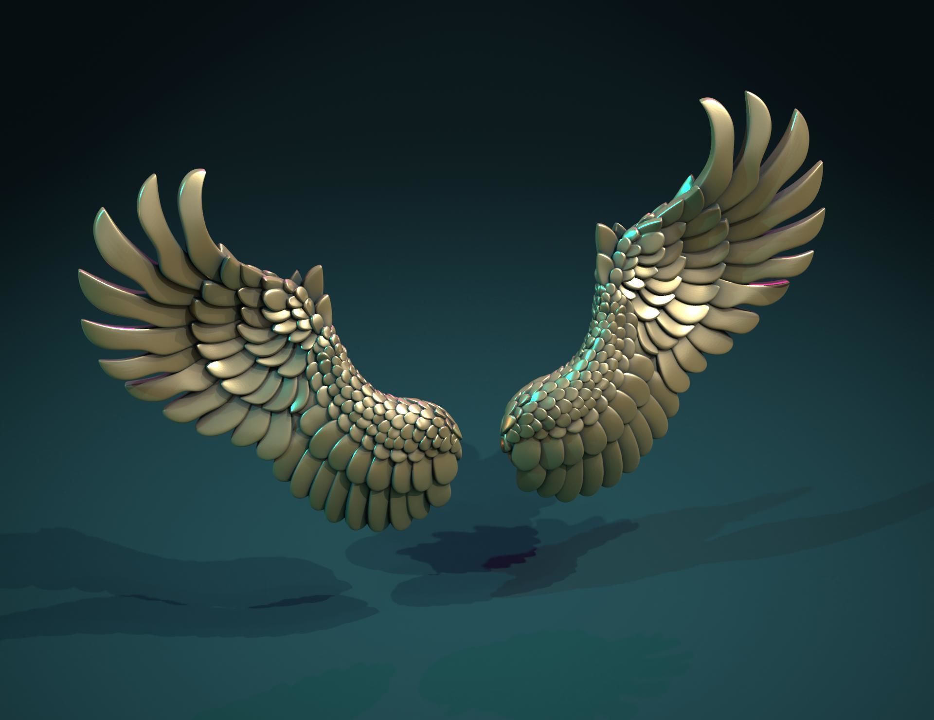 Wings II 3D print model_13