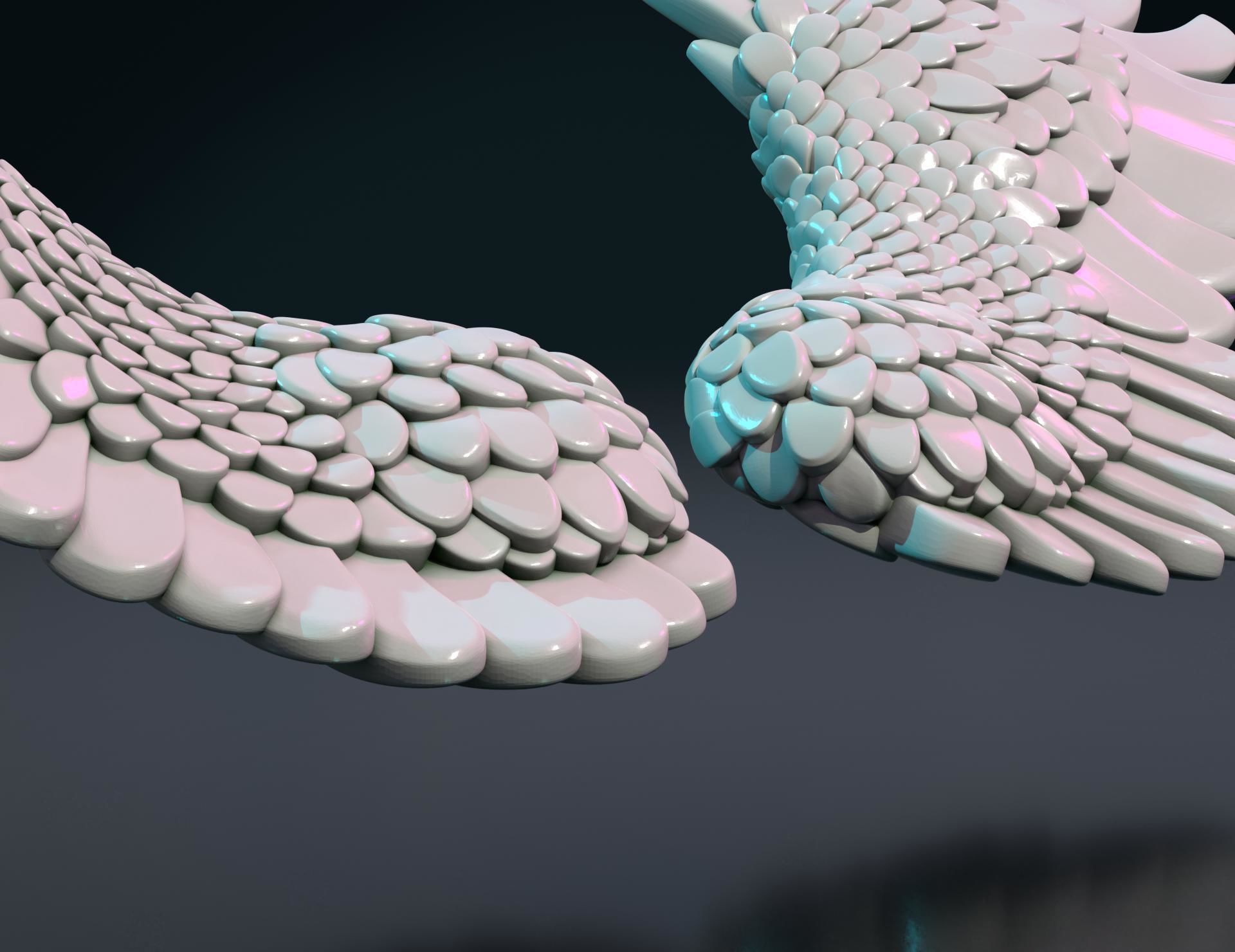 Wings II 3D print model_15