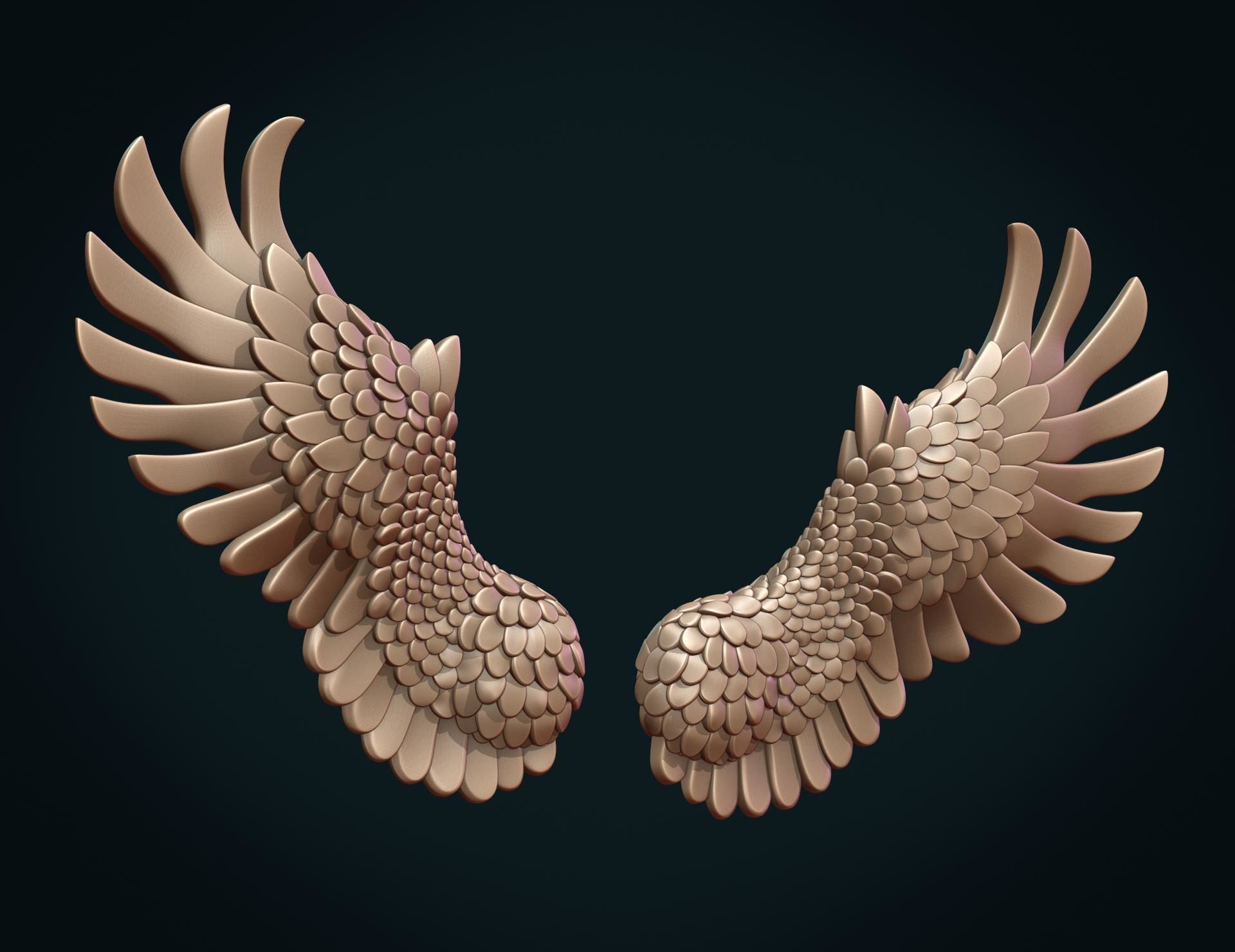 Wings II 3D print model_8