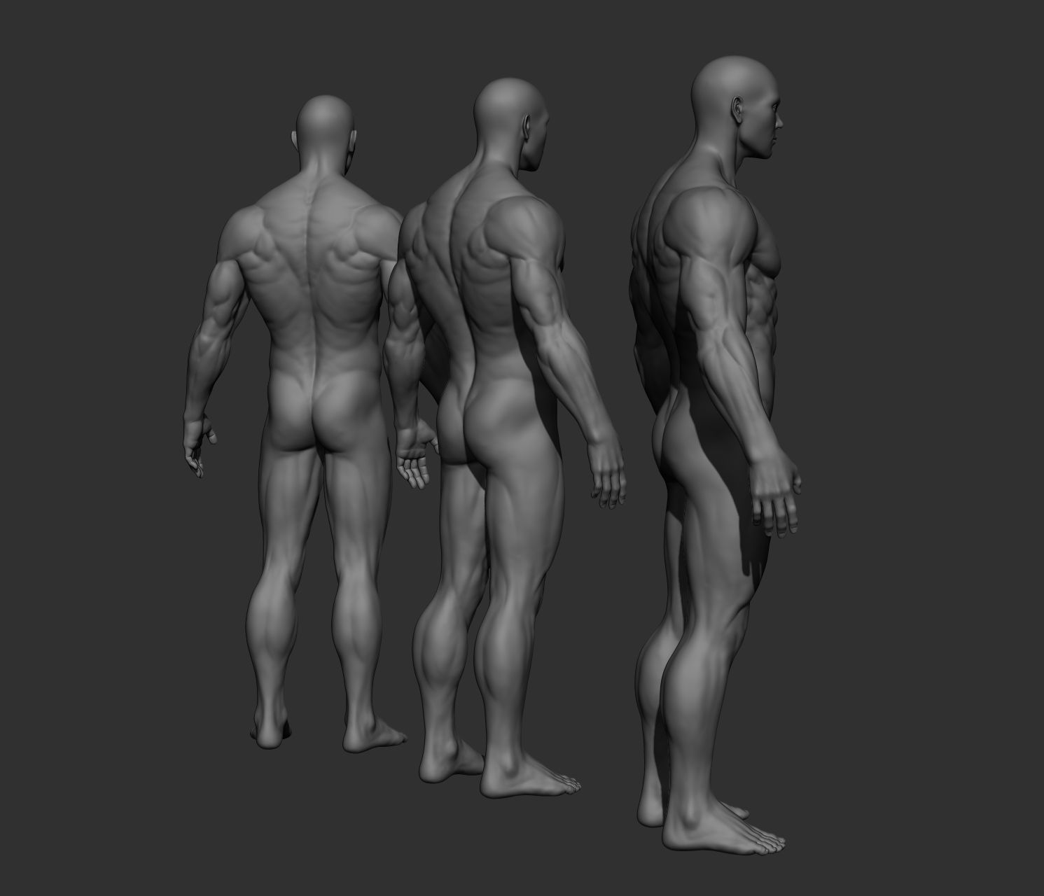 Realistic Male Full Body Sculpt Free 3D model_25