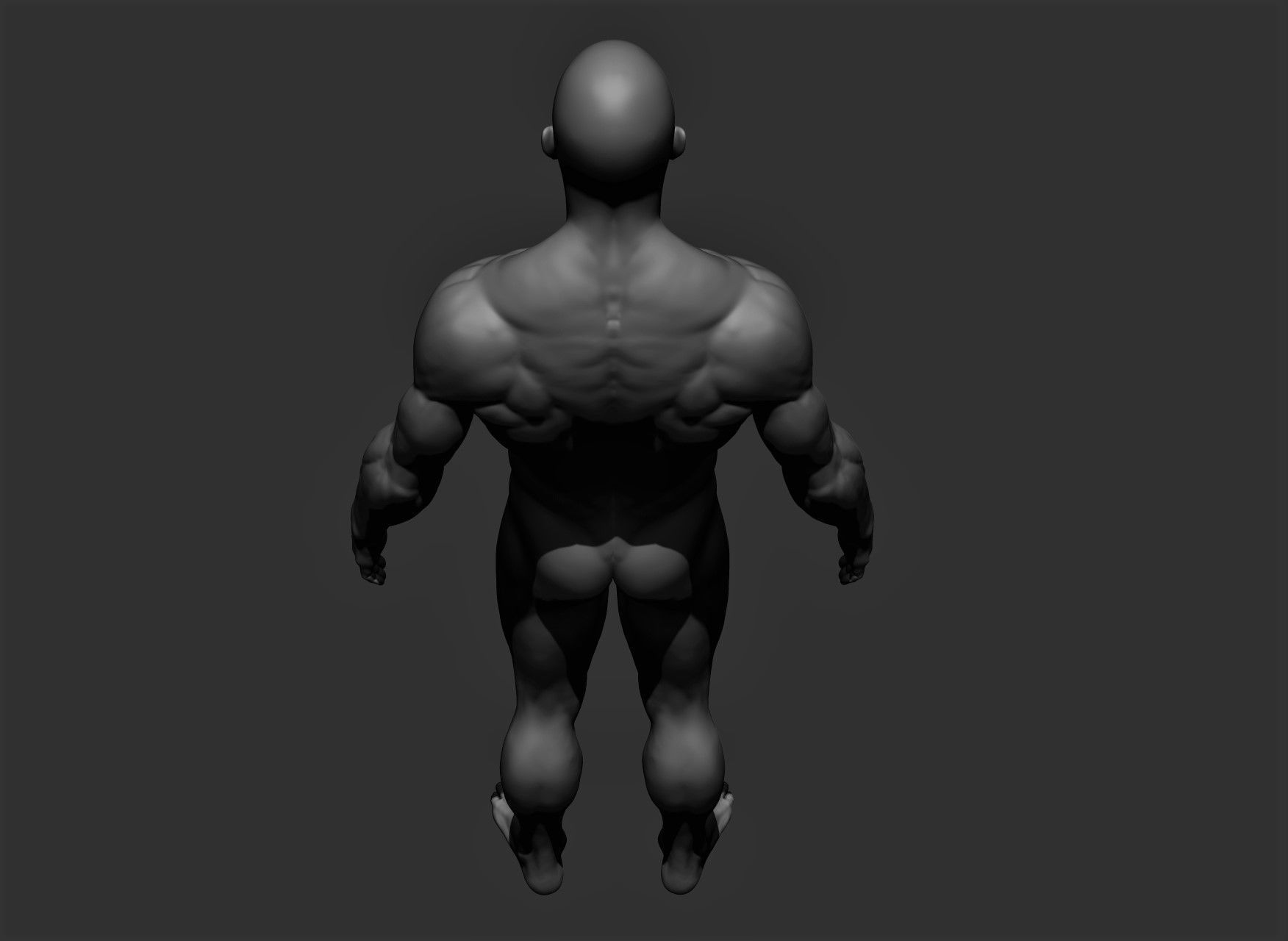 Realistic Male Full Body Sculpt Free 3D model_17