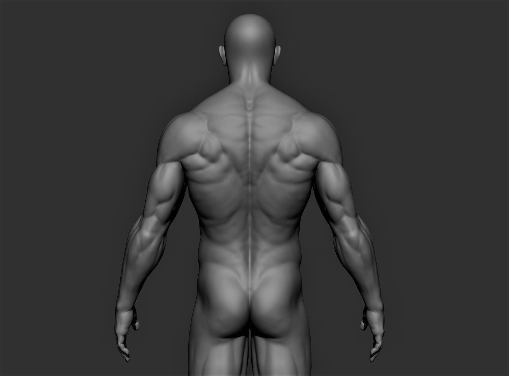 Realistic Male Full Body Sculpt Free 3D model_5