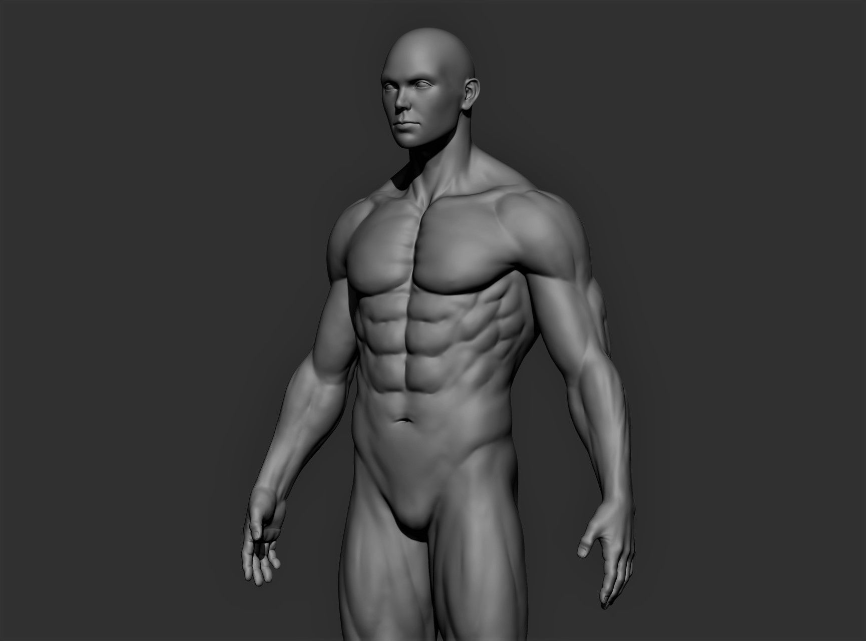 Realistic Male Full Body Sculpt Free 3D model_2