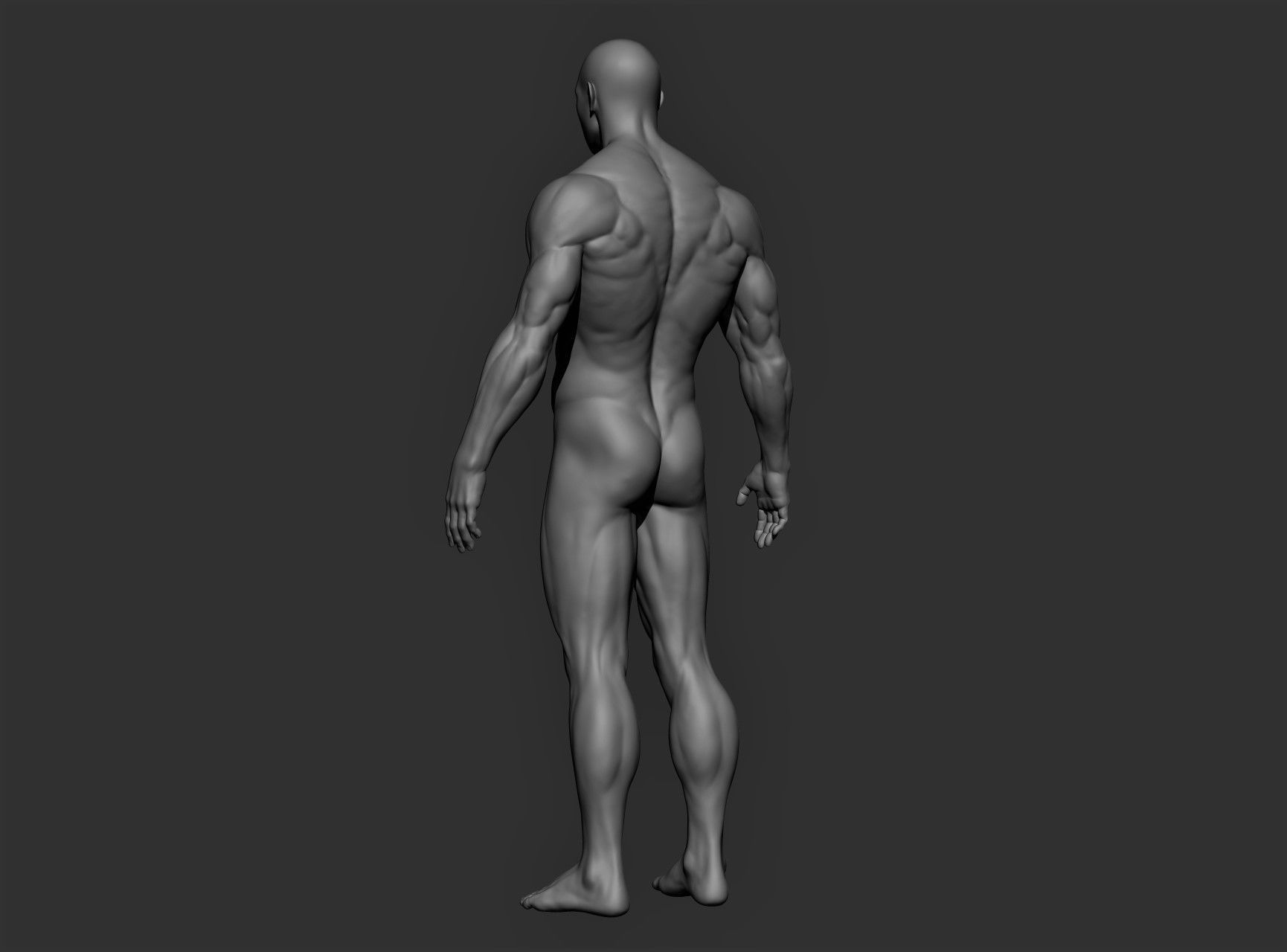 Realistic Male Full Body Sculpt Free 3D model_12