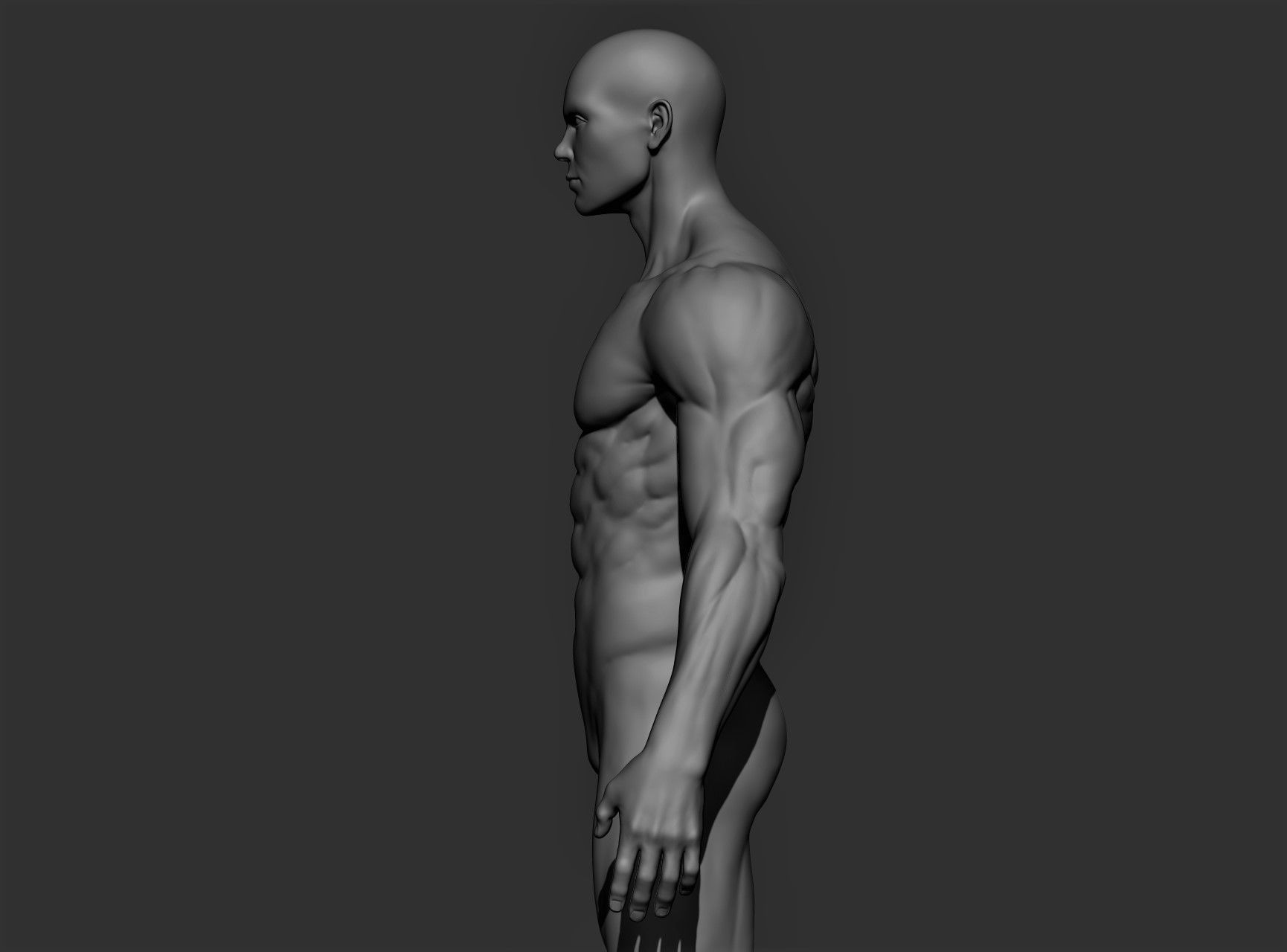 Realistic Male Full Body Sculpt Free 3D model_4