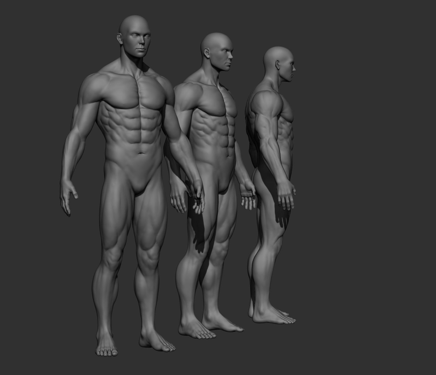 Realistic Male Full Body Sculpt Free 3D model_26