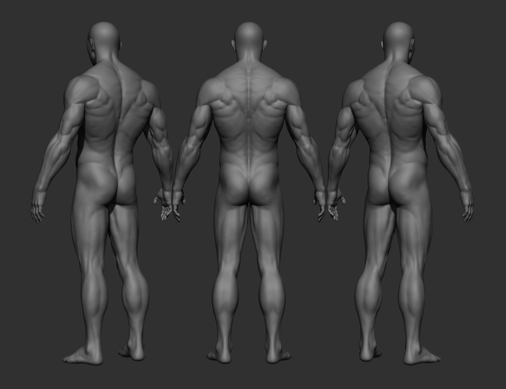 Realistic Male Full Body Sculpt Free 3D model_24