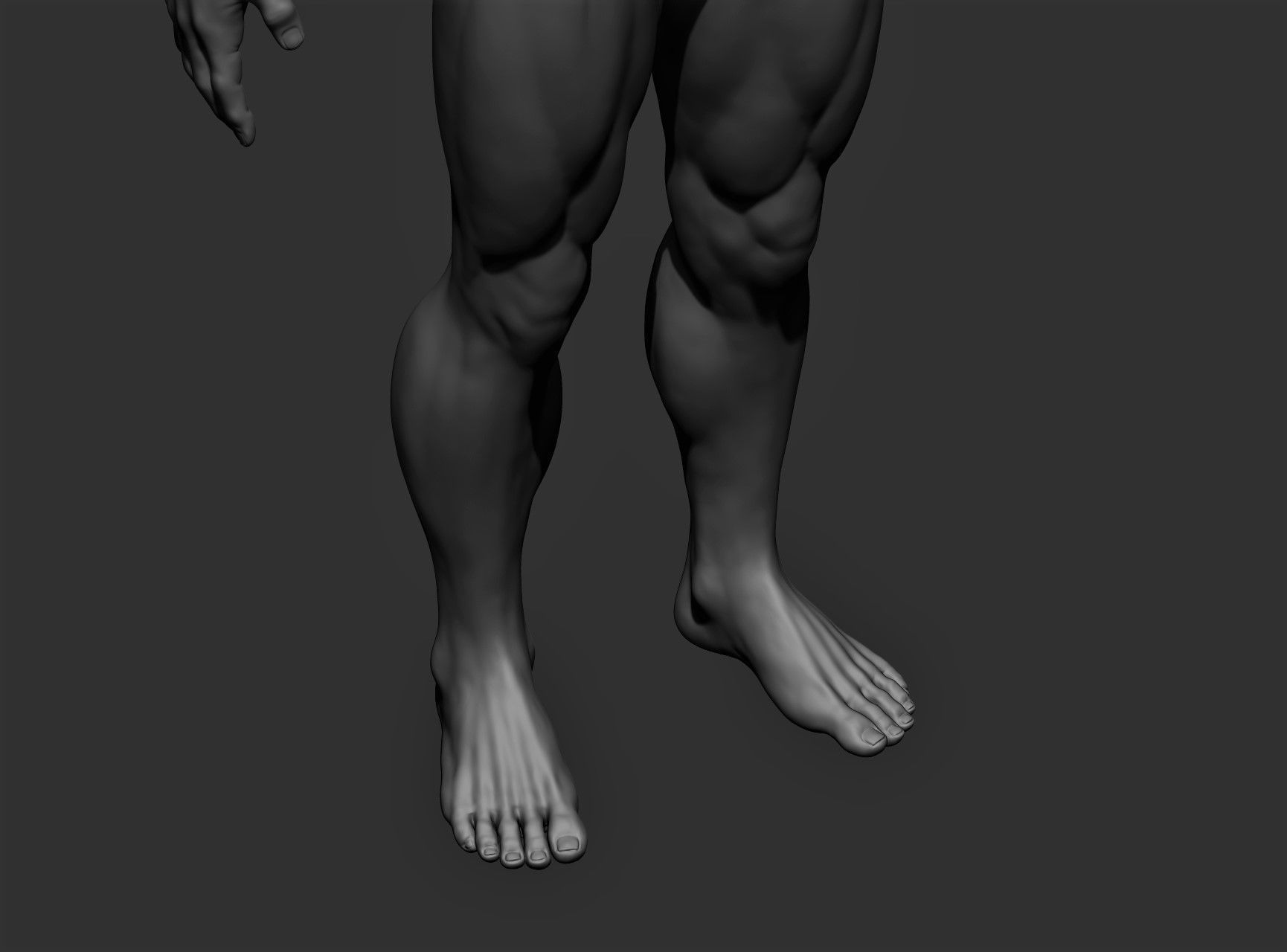 Realistic Male Full Body Sculpt Free 3D model_22