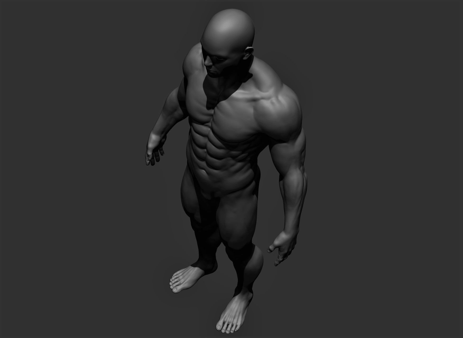 Realistic Male Full Body Sculpt Free 3D model_19