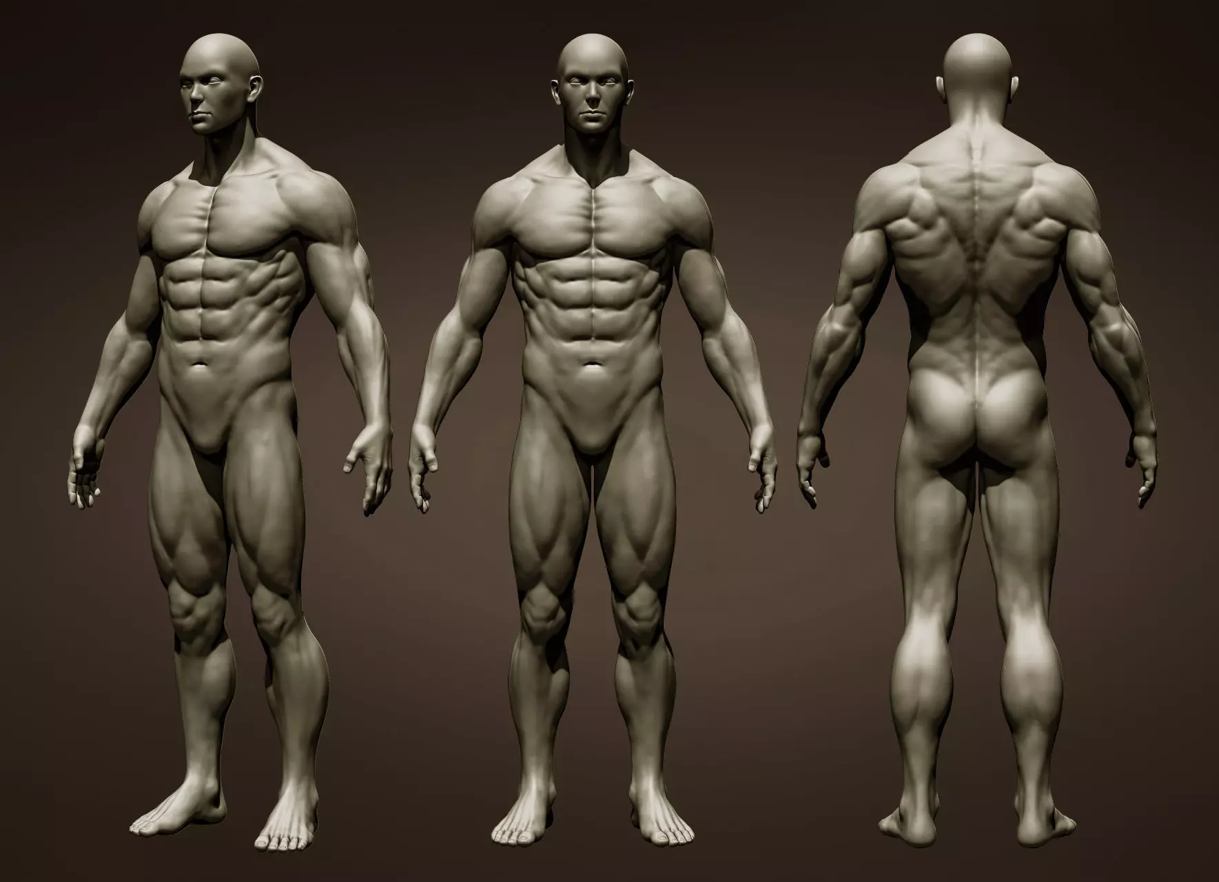 Realistic Male Full Body Sculpt Free 3D model_0